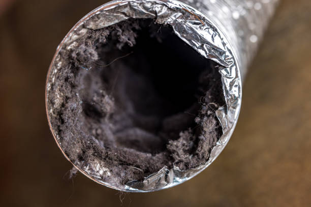 Best Ductwork Cleaning Services  in Alto, TX