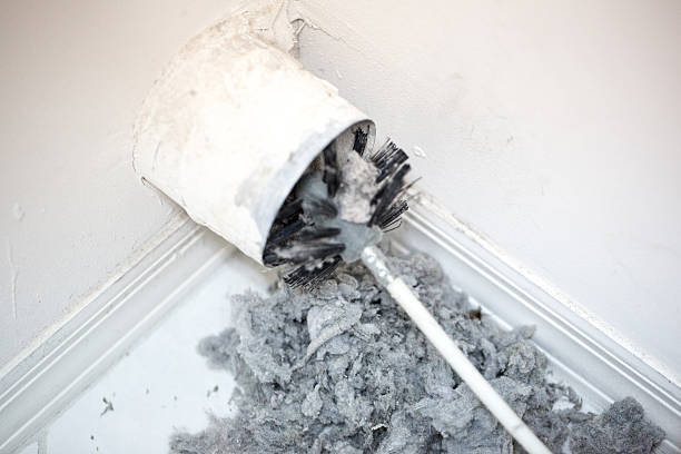 Best Affordable Duct Cleaning Services  in Alto, TX